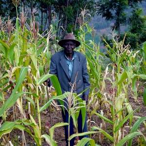 Un vieil homme dans son champ de maïs - Rwanda  - collection de photos clin d'oeil, catégorie portraits